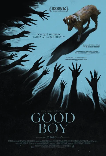 Good Boy